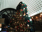 Christmas Wallpapers 83